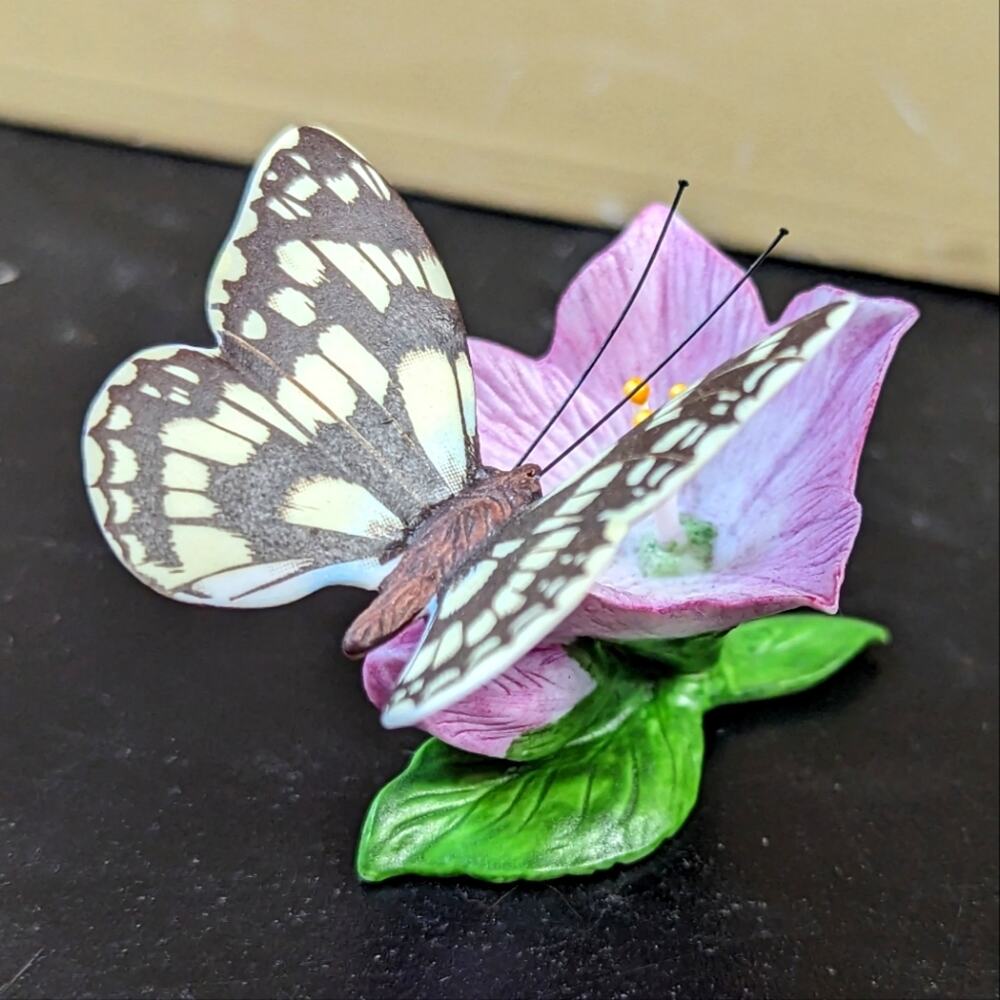 Franklin Mint Marbled White Butterfly Butterflies of the World